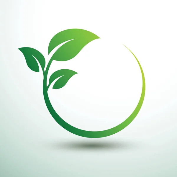 Conceito Rótulos Verdes Com Folhas Forma Oval Ilustração Vetorial — Vetor de Stock