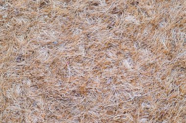 Hindistan cevizi elyaf, Hindistan cevizi lifi doku arka plan yapılan mat