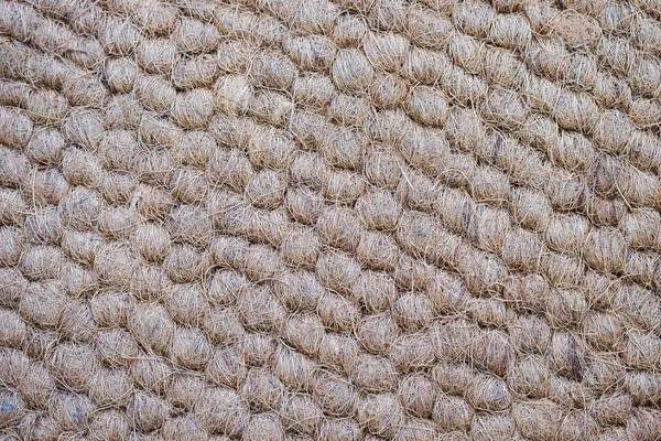 Mat Made Coconut Fiber Coconut Fiber Texture Background — Stock Photo, Image