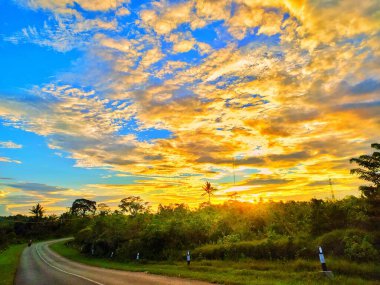 Pemandangan alam hari 