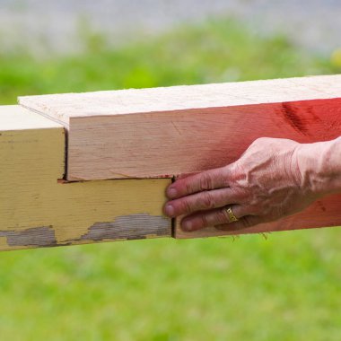 Erkek marangozun eli antika çiftlik evinin eski usul tamiratını denetliyor. Alyans ve talaş, güvenilirlik, duyarlı dokunuş mükemmeliyetçi doğal yeşil çimen arka plan ve kopyalama alanı.