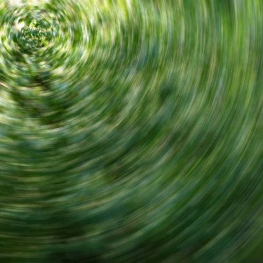 Soyut doğal bahar yeşili ve soluk çiçekli güzel kıvrımlı duvar kağıdı renkleri. Doğa, çevre konsepti negatif kopya alanı, hassas gölgeleme, hareket ve doku, temiz, topraksı