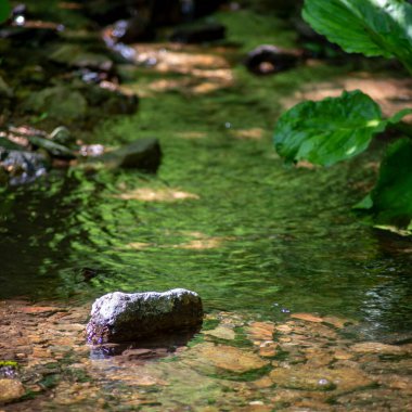 Tranquil woodland creek scene, low angle view. Rippling water dotted with stones reflects green foliage above shaded area with spots of dappled sunlight. Sunlit water in foreground shows colorful creek bed. Shot in natural light, with copy space.