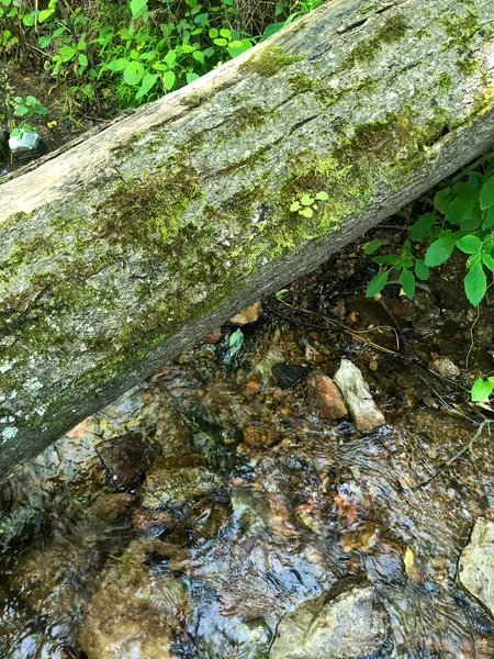 Close Moss Covered Log Fallen Tree Bridge Woodland Stream Water — Stockfoto