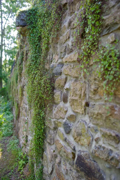 Vista lateral de la pared de piedra victoriana con característica arquitectónica de drenaje francés y hiedra verde — Foto de Stock