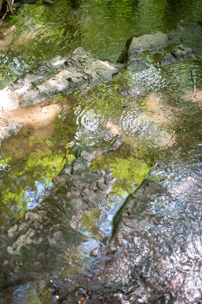 Abstraktes Vollbild von grünem Laub und blauem Himmel, das sich in einem Waldbach spiegelt. — Stockfoto