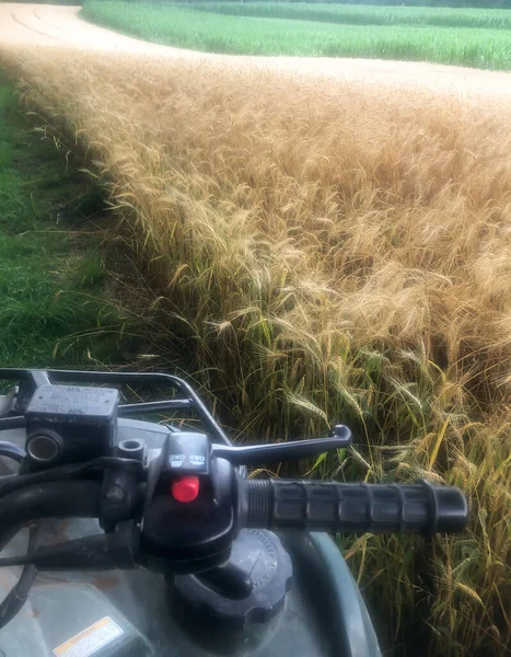 View over off road vehicle handlebars, swooping wheat fields and green grass. — Stock Photo, Image