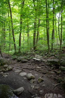 Cennet yolu boyunca boş bir bank..