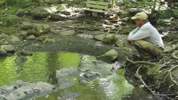 4K O homem descansa por árvores de riachos florestais idílicas refletidas na água — Vídeo de Stock