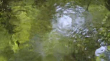 Soyut gezgin akıntılı orman deresi