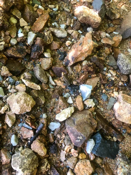 Ο καμουφλαρισμένος βάτραχος κρύβεται ανάμεσα σε πολύχρωμες πέτρες κατά μήκος ενός δάσους. — Φωτογραφία Αρχείου