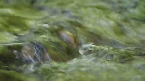 Närbild abstrakt strömmande vatten över stenar bubblor och energi — Stockvideo