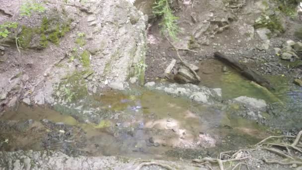 Stream flows over rock formation into reflecting pool. — Stock Video