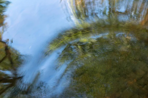 고요 한 숲의 연못에 반사되어 흐르는 잔물결. — 스톡 사진