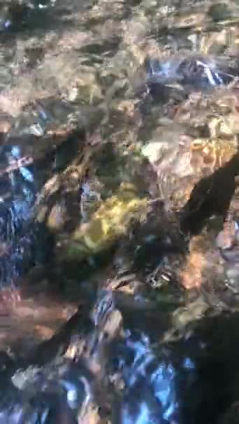 Slow motion high-angle footage of flowing stream over colorful stones. — Stock Video