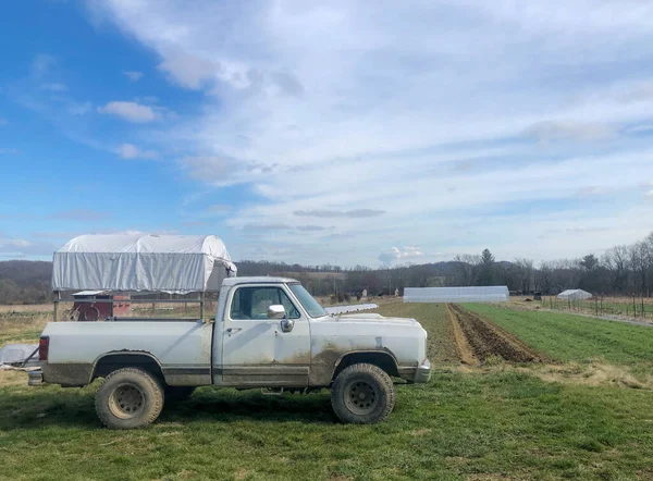 Old white work pick up truck on organic farm — Stock Photo, Image