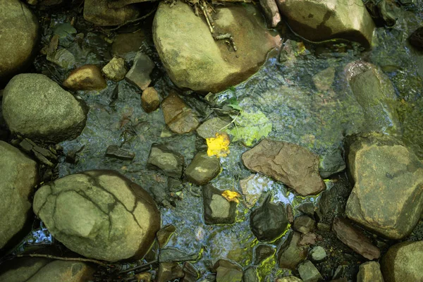 Vista de alto ângulo do córrego florestal com pedras e uma folha amarela — Fotografia de Stock