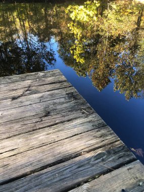 Huzurlu orman gölünün ön planındaki ahşap rıhtım ağaçları yansıtıyor..