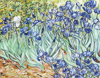 Tarafından Vincent van Gogh yetişkin renklendirme sayfası Süsen (d. 1889)