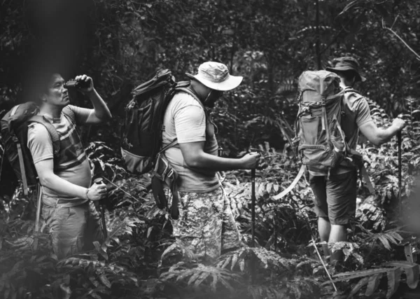 Gruppo Uomini Diversi Trekking Nella Foresta Insieme — Foto Stock