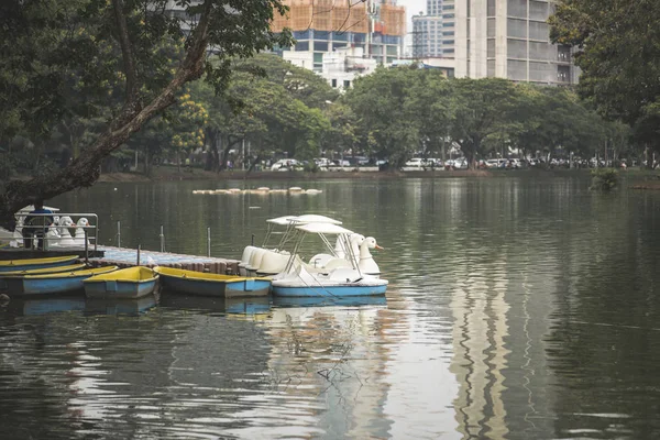 Swan Šlapadla Lumphini Park Bangkok — Stock fotografie