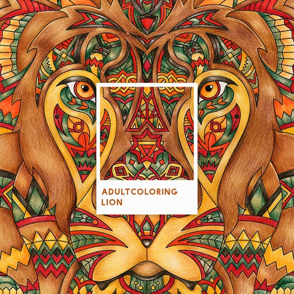 León Naranja Adulto Para Colorear Ilustración —  Fotos de Stock
