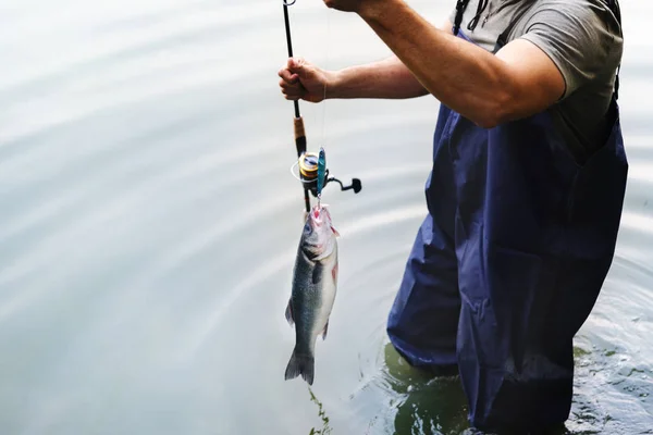 Pêche Homme Bord Lac — Photo