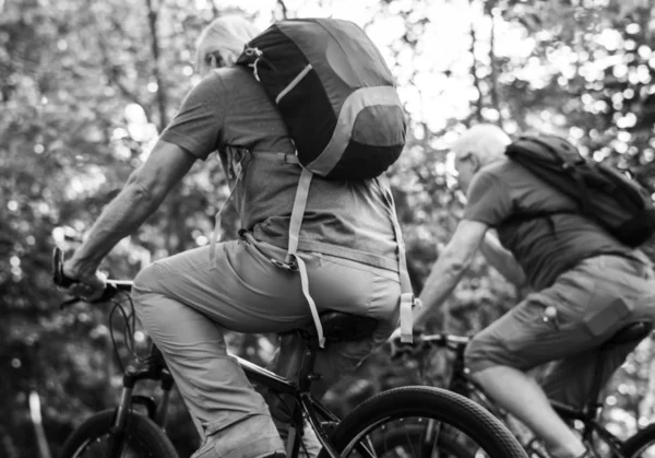 Dos Hombres Mayores Bicicleta Parque Blanco Negro —  Fotos de Stock