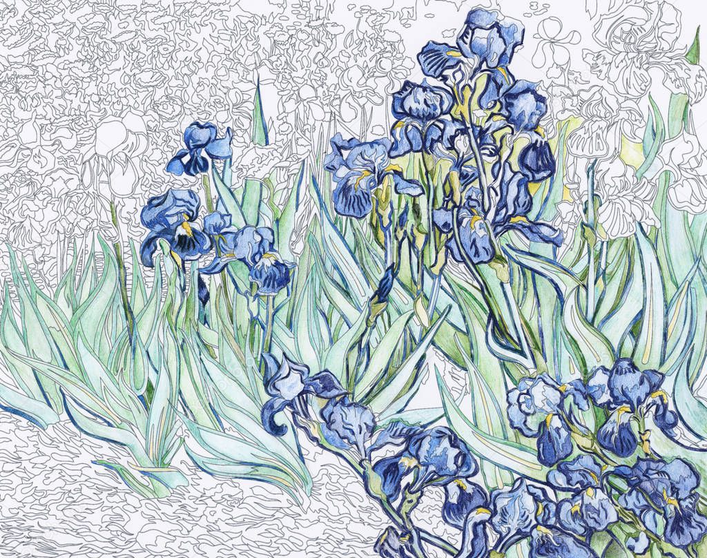 Irises (1889) by Vincent van Gogh adult coloring page