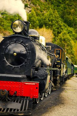 kırsal kesimde buharlı tren