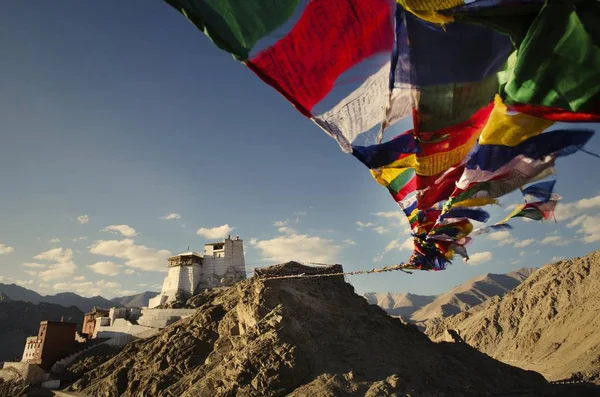 Palác Leh Ladakh Indie — Stock fotografie