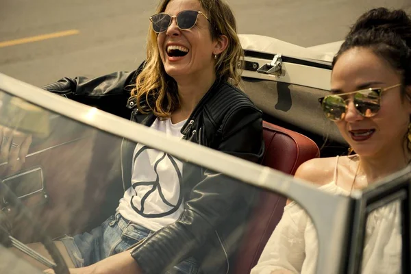 Arkadaşlar bir eğlenceli ve çılgın roadtrip