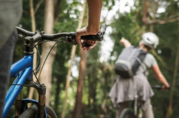 Grupo Ciclistas Diversificados Floresta — Fotografia de Stock