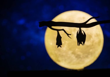 Gece gökyüzünde dolunay