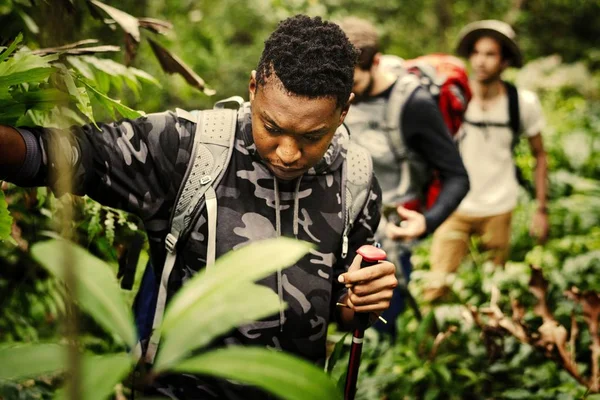 Friends Trekking Though Forest — Stock Photo, Image