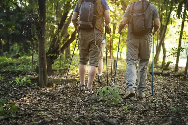 人腿的部份看法在森林 徒步旅行和旅行概念 — 图库照片