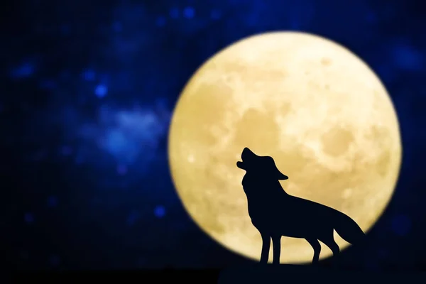 Silueta Lobo Aullando Sobre Una Luna Llena — Foto de Stock