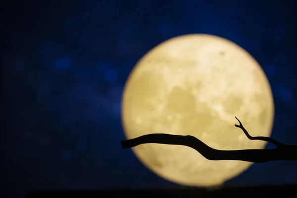 Luna Piena Nella Notte Buia — Foto Stock