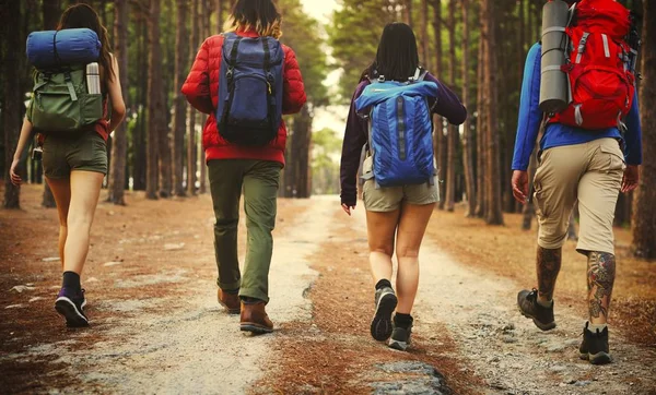 Best Friends Traveling Together Forest — Stock Photo, Image