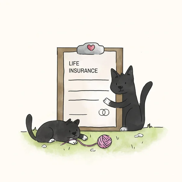 Kočky Životním Pojištěním — Stock fotografie