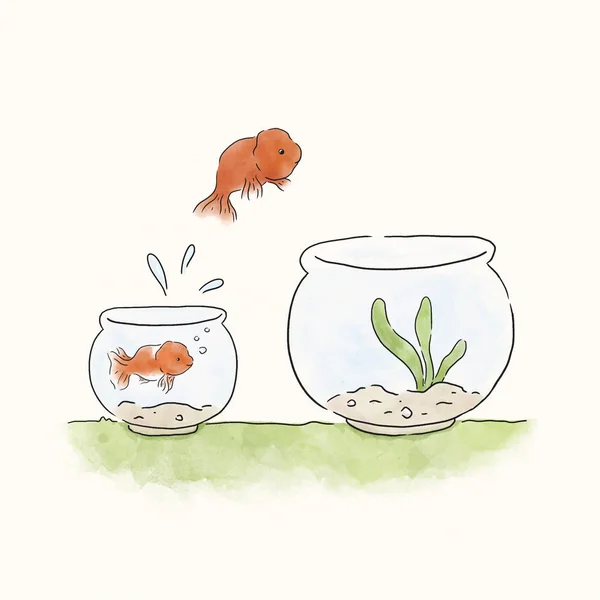Goldfish Jumping Bigger Bowl — Stock Photo, Image