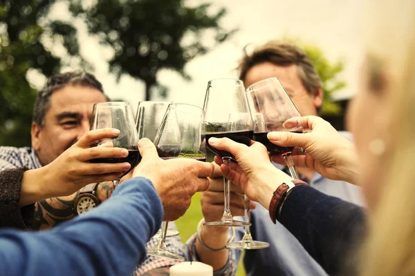 Amigos Comemorando Com Vinho Tinto — Fotografia de Stock