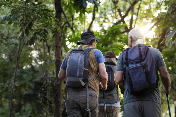 Senioren Wandern Wald — Stockfoto