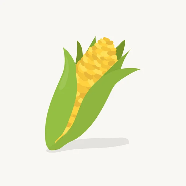 Ręcznie Rysowane Corn Ilustracja Owoców — Zdjęcie stockowe