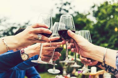 Bir bahçe partide toasting arkadaşlar