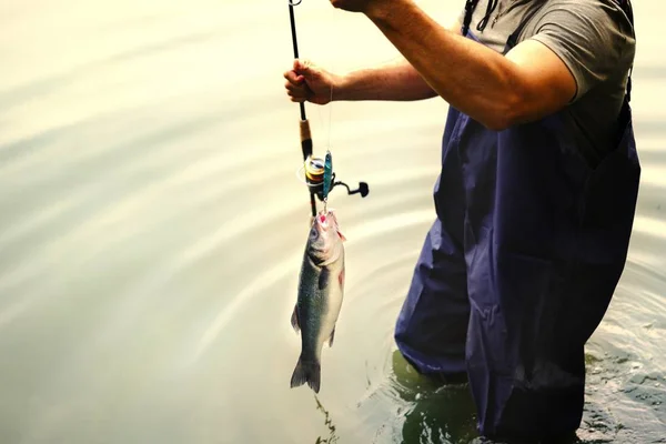 Человек Рыбачит Озера — стоковое фото