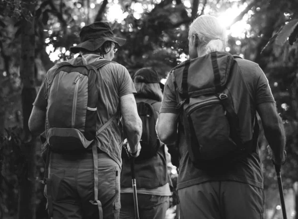 旅行者在夏天森林里徒步旅行 黑白相间 — 图库照片