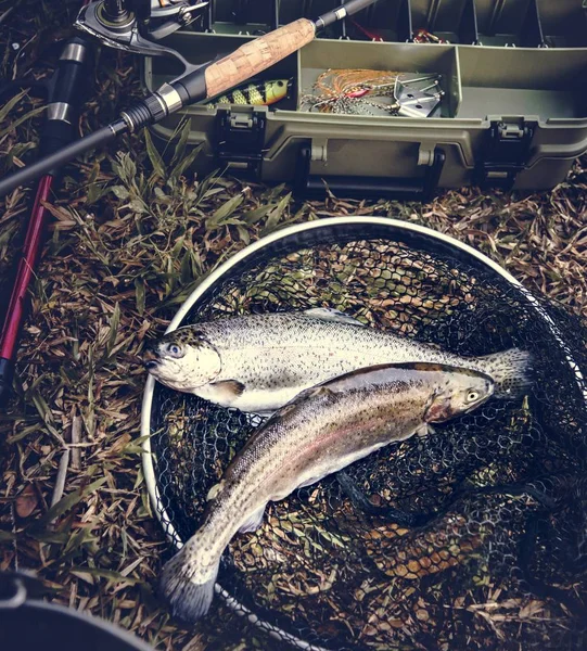 タックル ボックス 地面に魚 — ストック写真