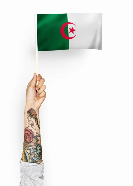 Osoba Macha Flagą Osób Algierskiej Republiki Demokratycznej — Zdjęcie stockowe