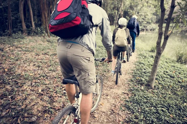 Група Друзів Катаються Гірському Велосипеді Лісі Разом — стокове фото